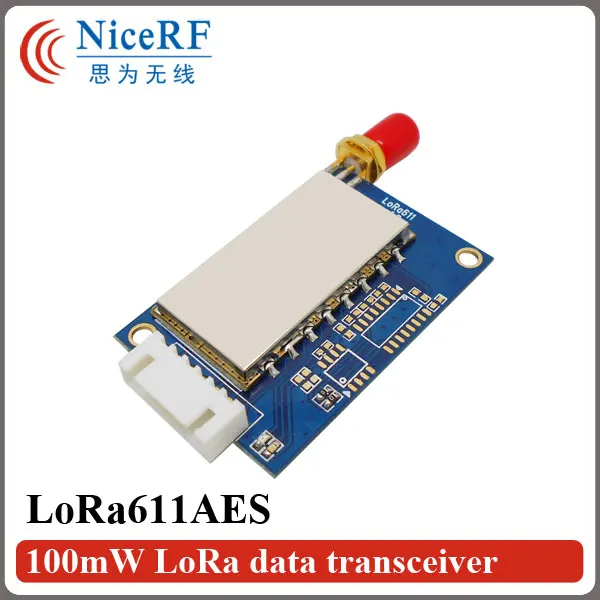 lora611-1