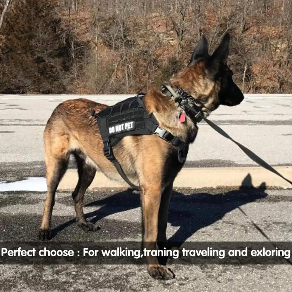 ##BUY Military Tactical Dog Harness Collars hunting Vest Nylon Bungee Leash Lead Training Running Medium Large Dogs German Shepherd