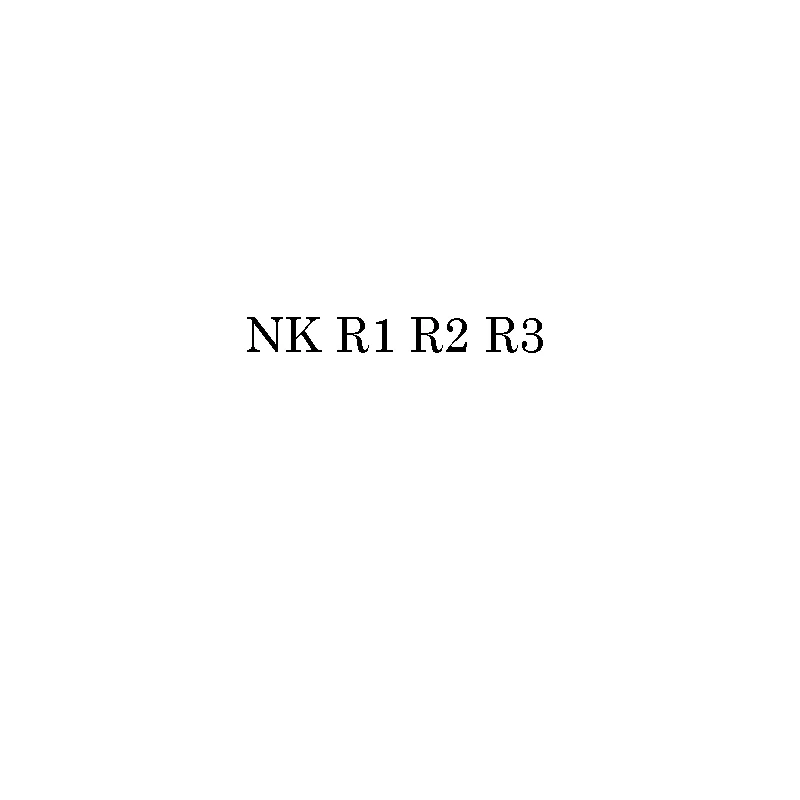 Prix pour NK R1 R2 R3 Dédié modèles ventes De Voitures accessoires Prix pour NK R1 R2 R3 Dédié modèles ventes De Voitures accessoires