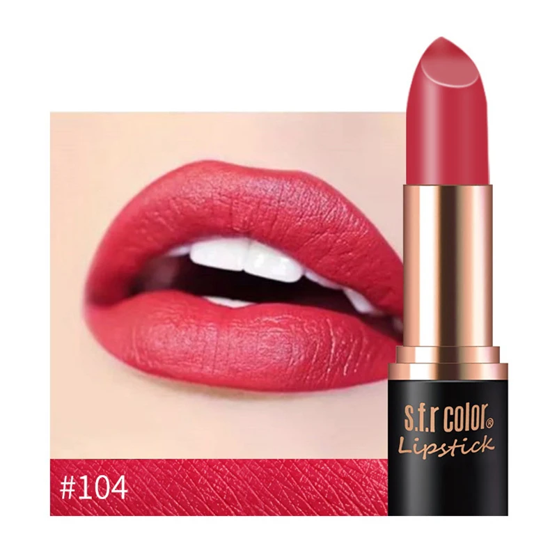 New Matte Lipstick 12color Easy To Wear Waterproof Long-lasting Matte Lip Gloss Lipstick Lady Sexy Lipstick Lip Balm TSLM2