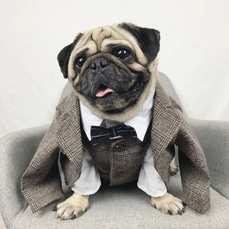 Ropa de perro boda mascota perro