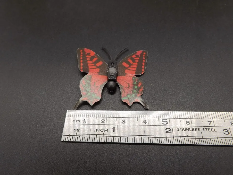 I245-Butterfly (13)