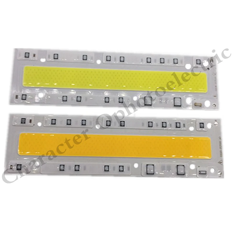 

5pcs Led Lamp COB Chip Light AC 110V/220V 150W With IP65 Led Smart IC For DIY White / Warm White Lighting