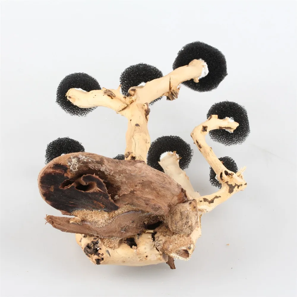 c180731581 (3)