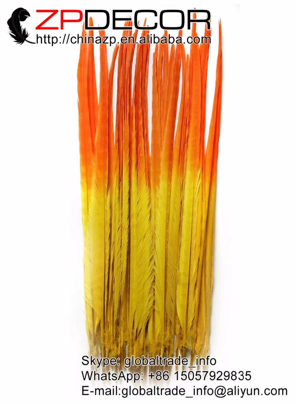 Orange&Yellow Ringneck Pheasant Tail Feather (4)