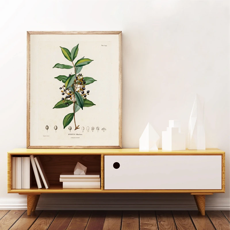 Antique French Plant Wall Art Print