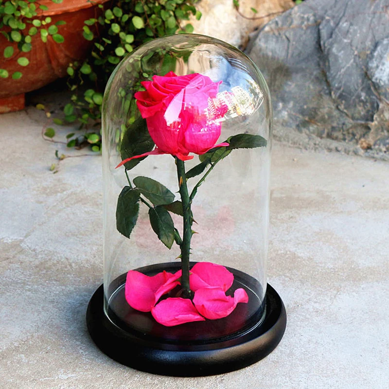 239781_no-logo_239781-2-04