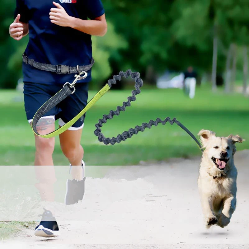 waist leash for running with dog