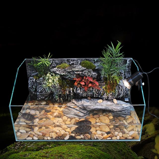 Aquatic Turtle Tank Kit Aquarium Vivarium With Waterfall Background