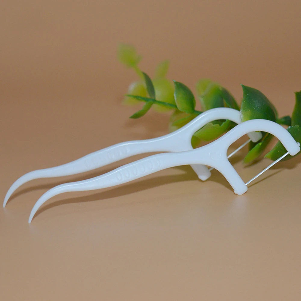 Buy 100PCS Pro Dental Flosser Interdental Brush Floss