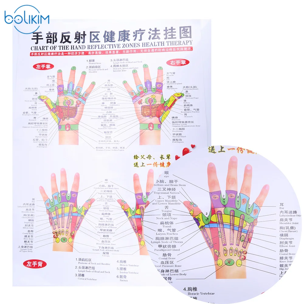 BOLIKIM 6Pcs English Hand&Foot&Ear&body Meridian points of human wall chart female /male acupuncture massage point map flipchart