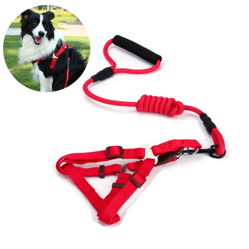 Soft Nylon Puppy Dog Harness and Leash Set Training Walking Running