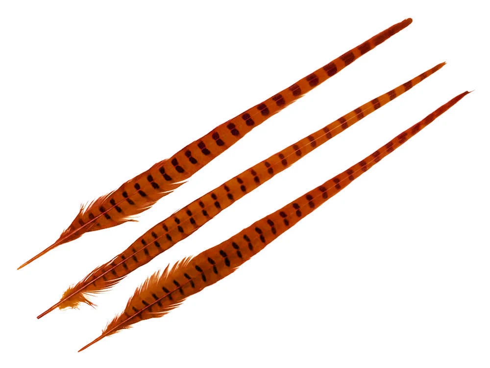 orange-1