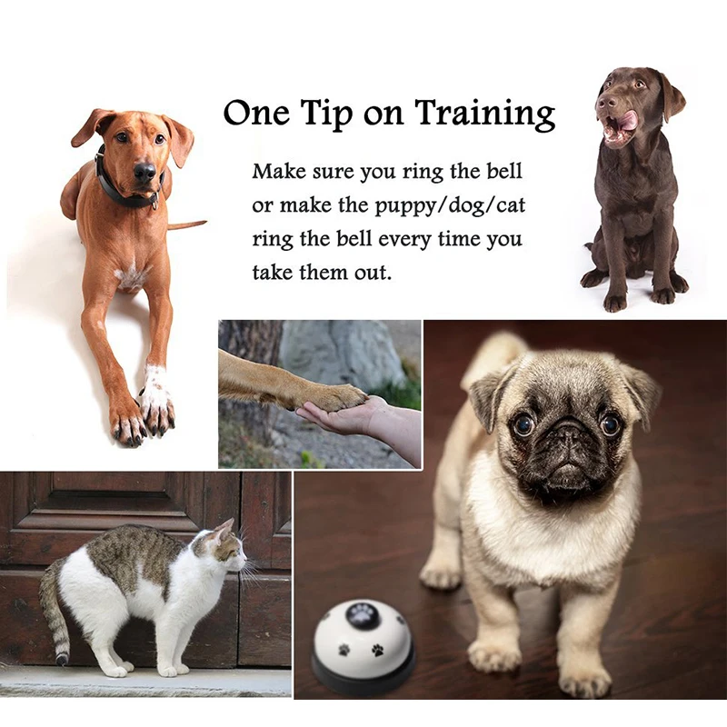 Funny Pet Dog Training Bell Behavior Training Feeding Reminder Bell For Dog Kitty Food Feeder Call Pet Educational Supplies