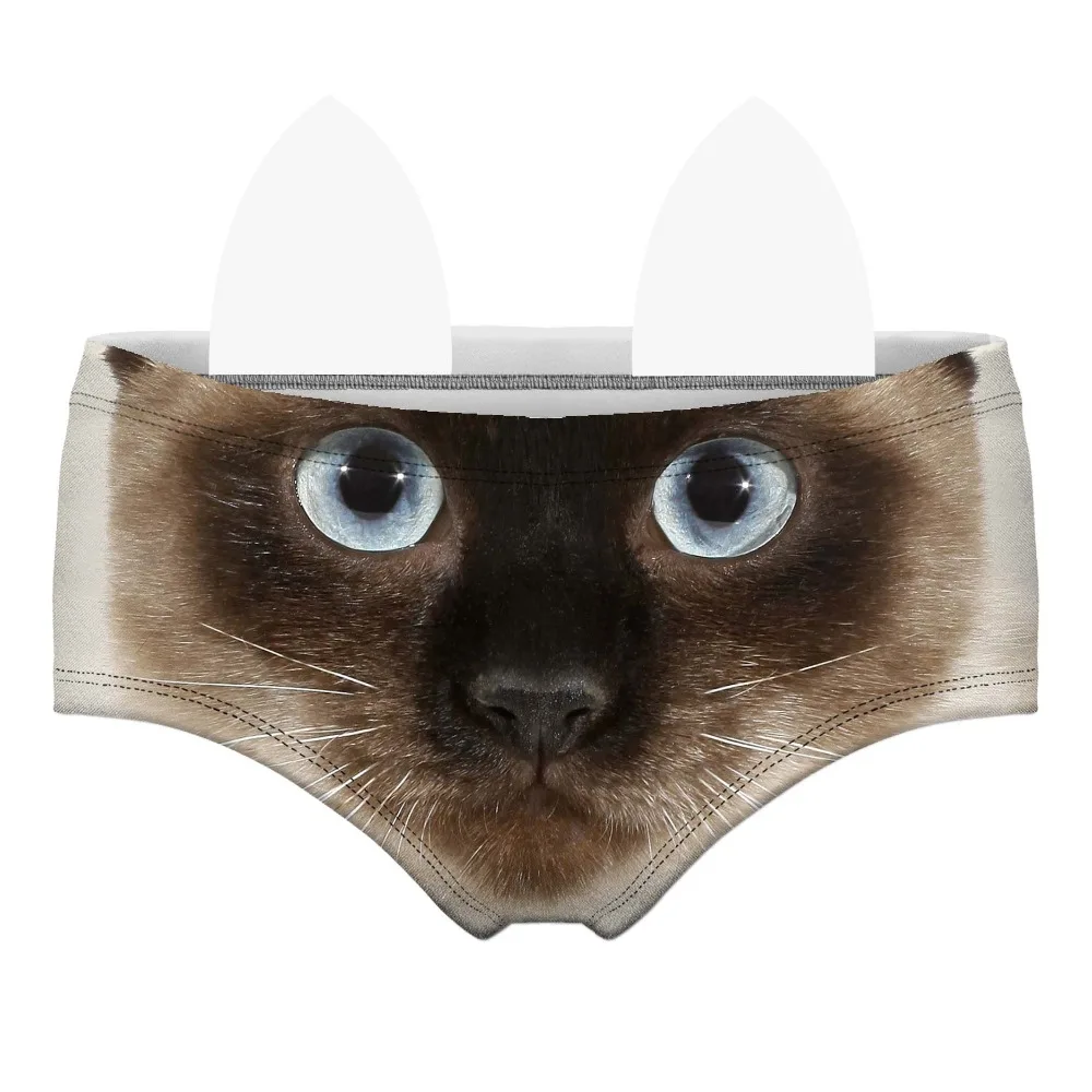 55117 siamese cat wiz front 