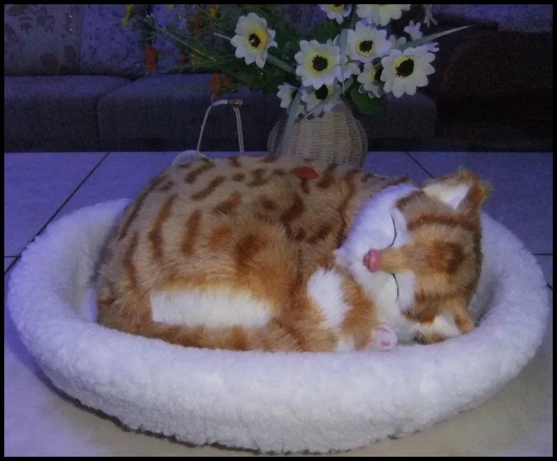 large 26x17cm yellow cat