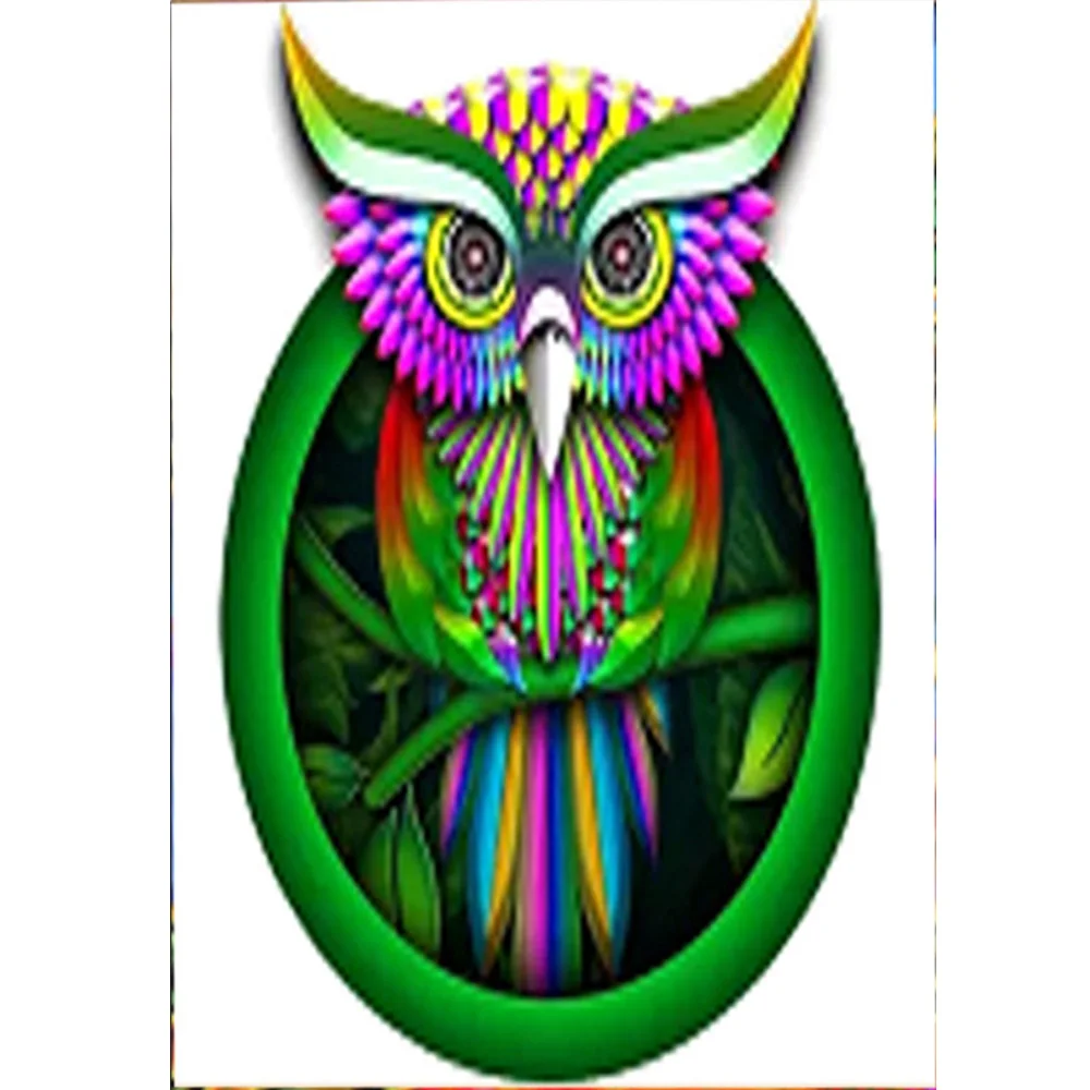 

DIY special owl diamond painting special owl animals dimaond embroidery full drill owl diamond painting mosaic full round drill