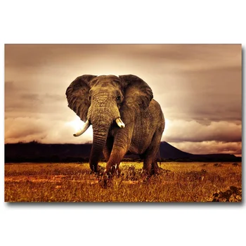 

NICOLESHENTING Wild Animals Elephant Art Silk Fabric Poster Print 13x20 24x36inch Africa Sunset Nature Picture Home Wall Decor