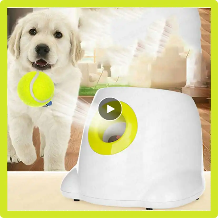 ball throwers bad for dogs