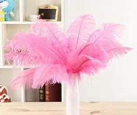 

Wholesale 50 pcs / lot Beautiful Pink ostrich feather 14-16inches / 35-40cm DIY jewelry decoration / wedding celebration