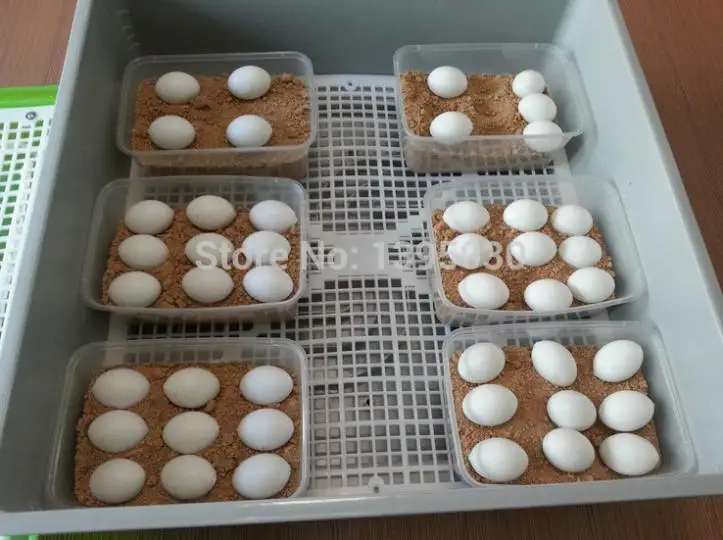 1Pc/Lot Newest 96 Eggs Mini Egg Incubator WQ-96 Digital Egg Automatic Incubator Machine 110/220V