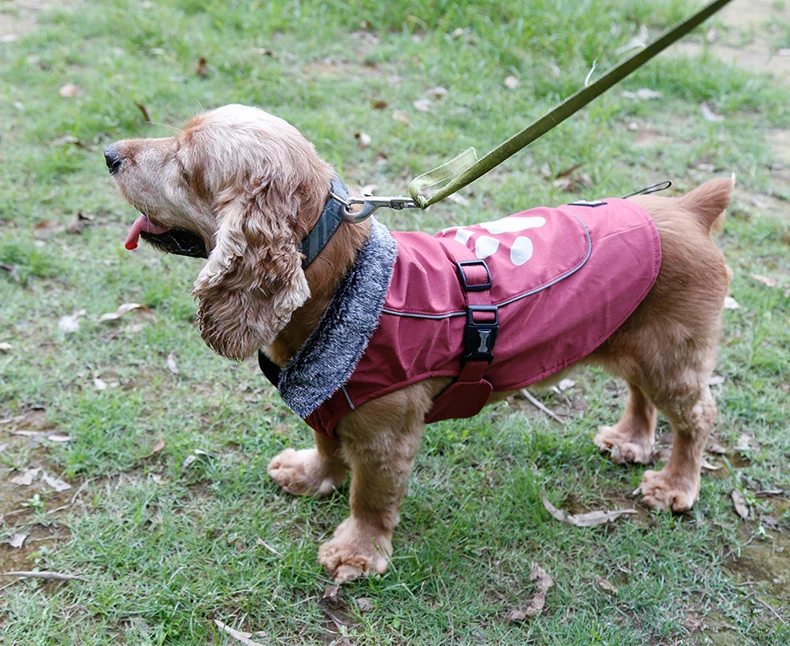 Dog Jacket Waterproof  (23)