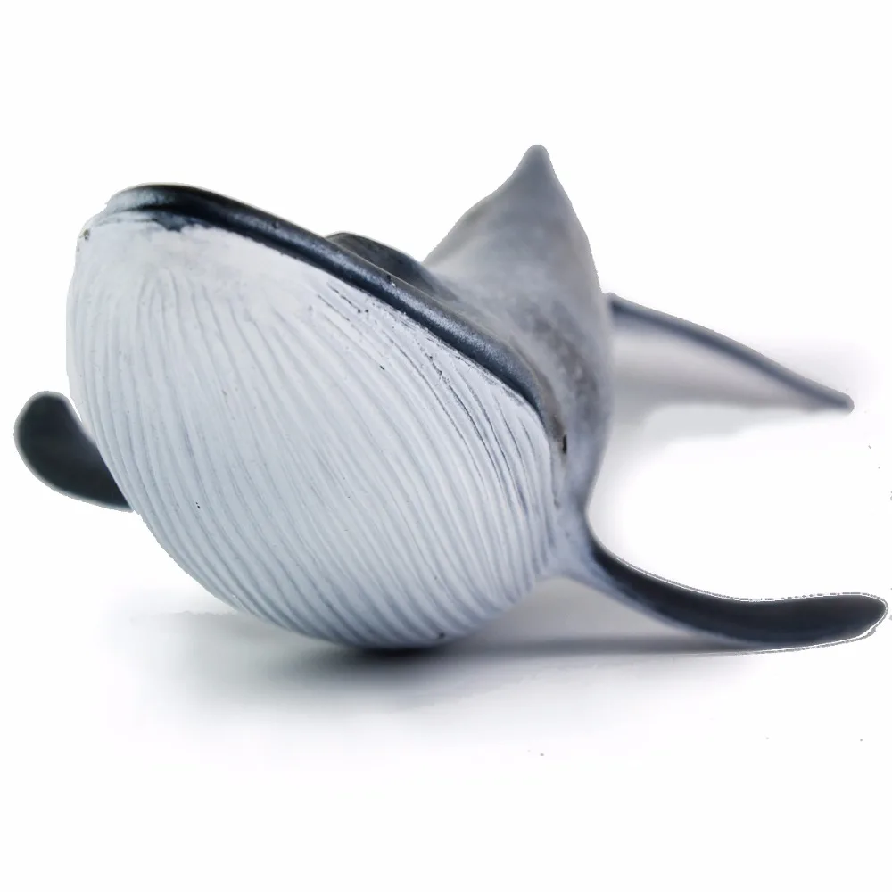 Bubles Wall Sea Life Marine Animals Blue Whale High Quality Action Figure Toy Ocean Animal Model For Kid Gift Bubles Wall Sea Life Marine Animals Blue Whale High Quality Action Figure Toy Ocean Animal Model For Kid Gift