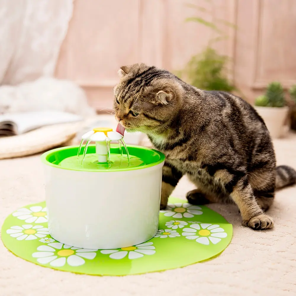 

1.6L Automatic Dog Cat Water Fountain with Mat Electric Mute Water Fountain Pet Bowl Drinking Water Feeding Dispenser Filter