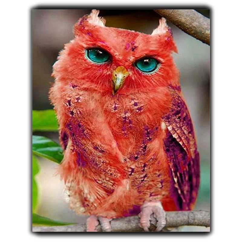 

Diy Diamond Painting Cross Stitch Red Owl On The Branches Needlework Diamond Embroidery Full Round Mosaic Decoration Resin Kits