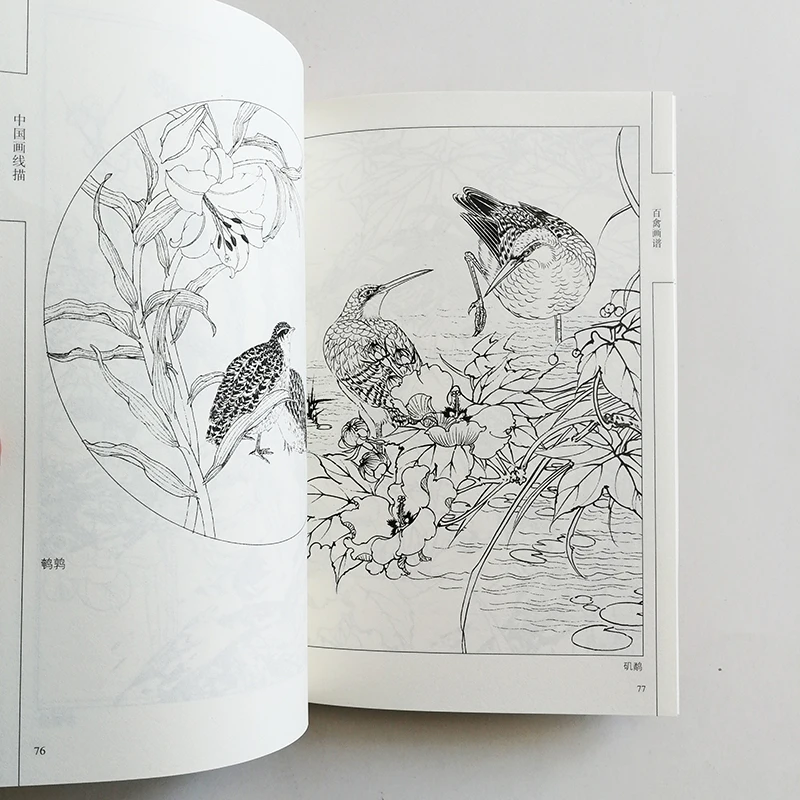 94 страницы птицы коллекция живописи художественная книга раскраска для взрослых Релаксация и антистрессовая живопись книга