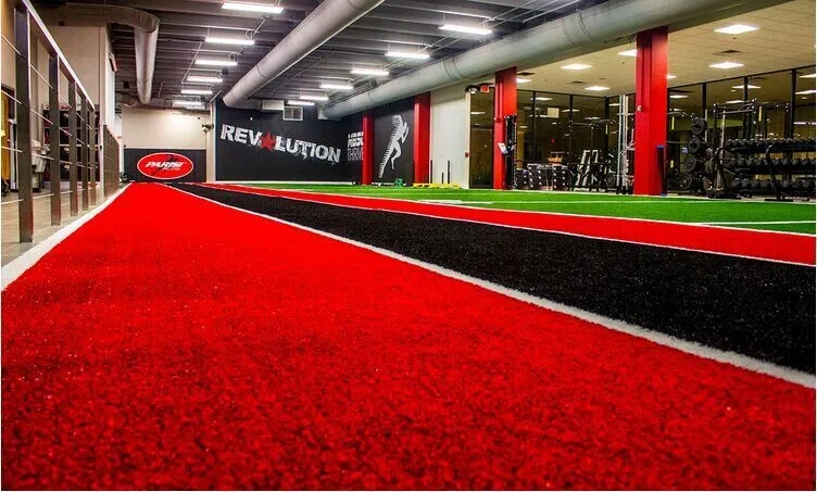 artificial grass for agility training & track (1)