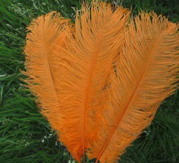 

20 pcs beautiful orange ostrich feathers 18-20 inches / 45-50 cm