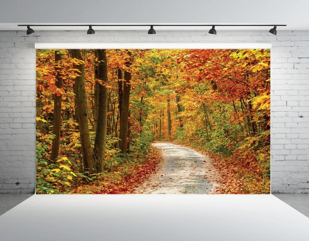 

Autumn Backdrop Vinyl Photography Backdrop Prop Custom studio backgrounds NJY08