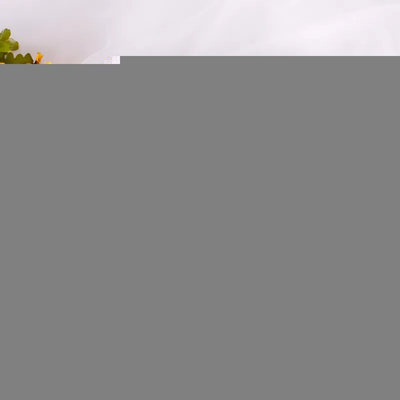 AV0332B  (1)