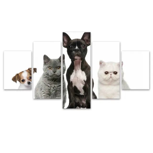 Buy Canvas Art 5 Panel WallArt Pictures Lovely Cat and