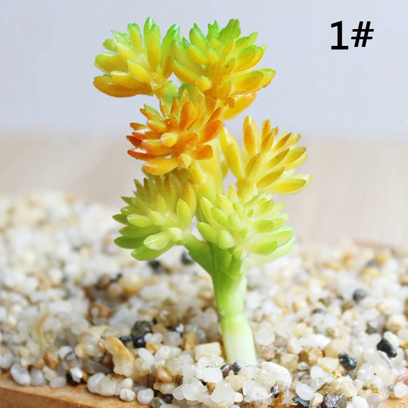 

Artificial Miniature Succulents Plant Cactus Echeveria Flower Wedding Home Decor