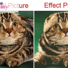 Личные фото пользовательские 5D DIY Алмаз Живопись животных Pets картина полный дрель Вышивка бисером подарок для вышивки крестом для удовольствия