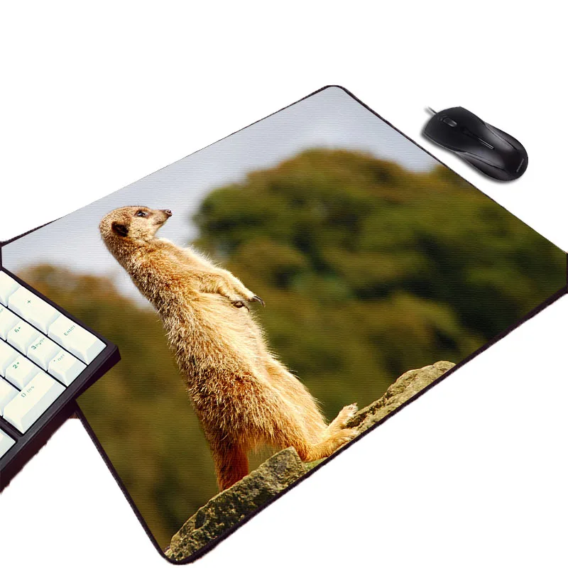 Mairuige маленький размер животные Meerkat Кошка Собака резиновая Мягкая Pc Компьютерная