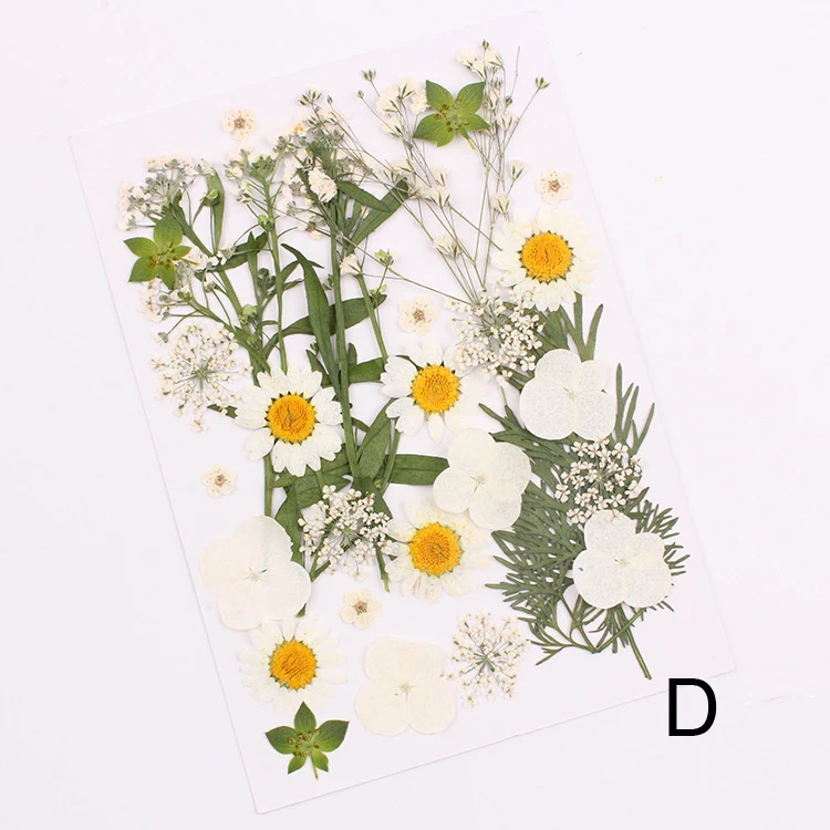 Натуральные сушеные цветы Комбинация DIY прессованный гербарий цветок декоративные поделки наполнитель для изготовления украшений вручную материал посылка