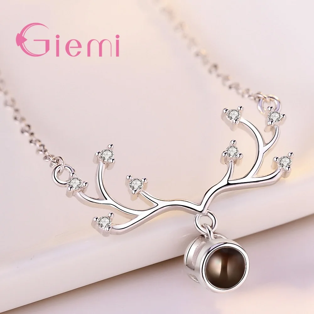N00401-Y
