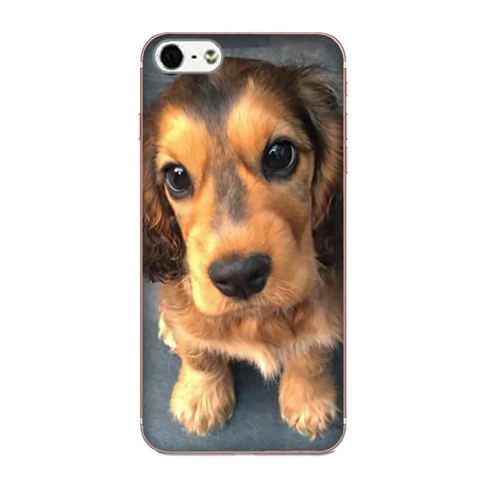 Милый чехол из ТПУ для Galaxy J1 J2 J3 J330 J4 J5 J6 J7 J730 J8 2015 2016 2017 2018 mini Pro Cocker Spaniels мягкие