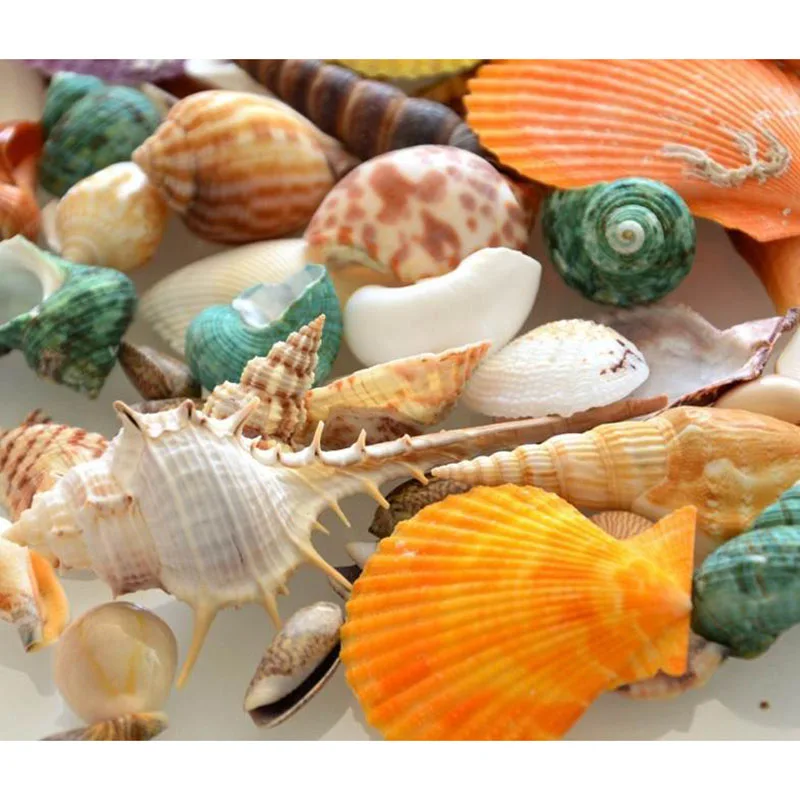 

100g Sea Beach Shells Mixed Fish Tank Aquarium Landscape Decoration Durable Craft For Drop Ship
