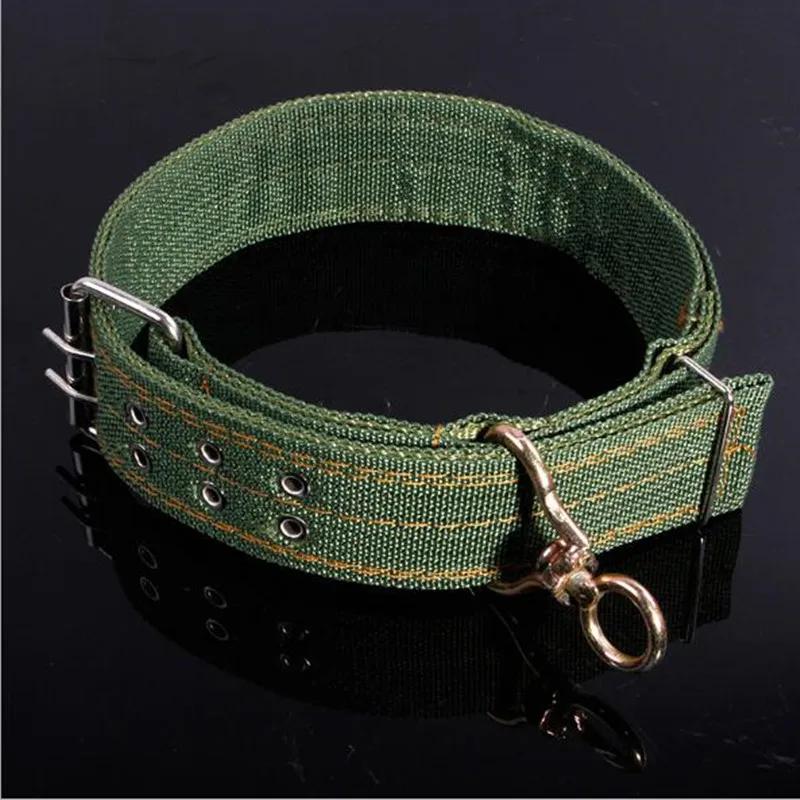 Army Green Canvas Pet Dog Collar Neck Strap Adjustable dog Cat Strap