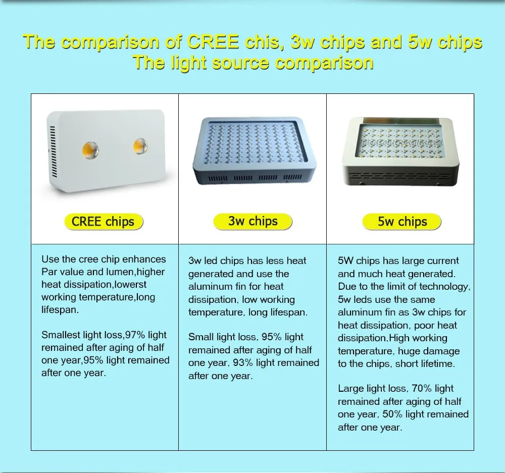 cree2_06