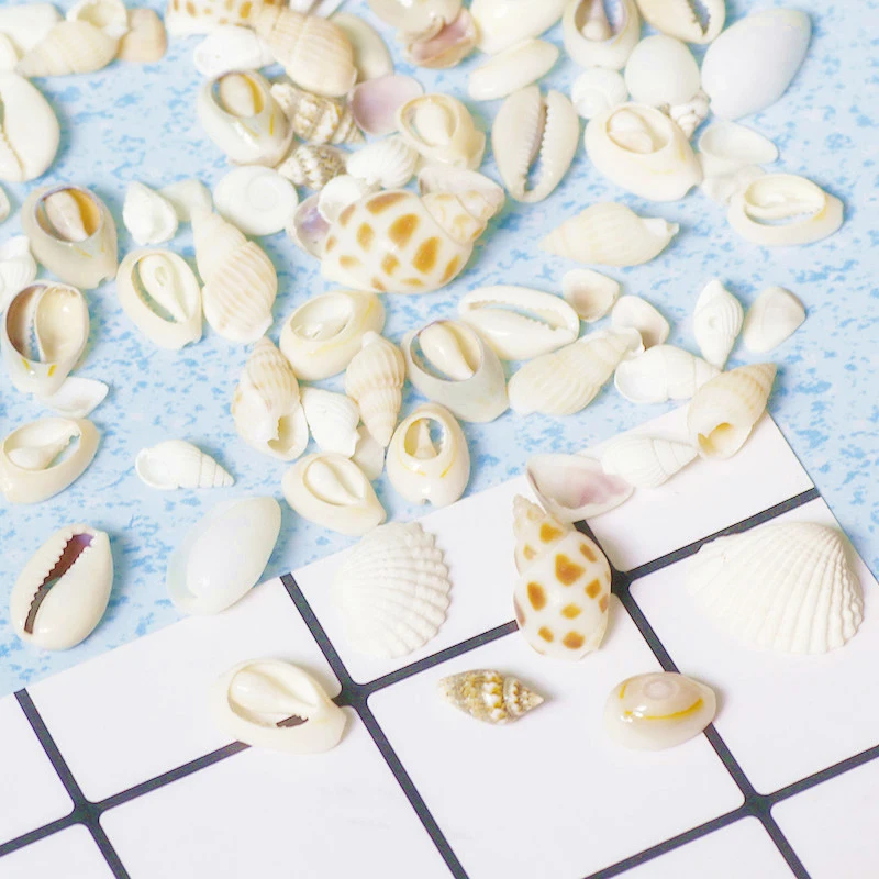 

Natural Conch Shell DIY Handcraft Crystal Epoxy Filler Practical Ornaments Accessories Candle Pottery Craft Decoration Materials
