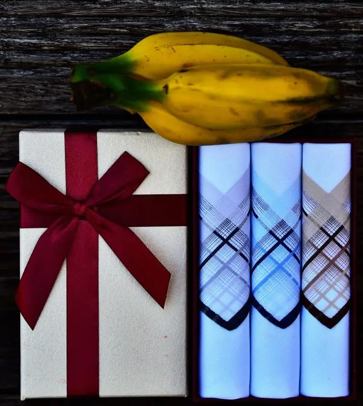 

Sell Brand Pure Cotton Assorted Men's Handkerchiefs Hanky Gift Box Set 2Pack Classic Vintage Jacquard Hankies Great Gift For Men