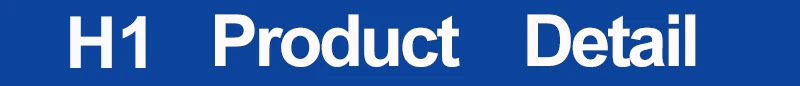 H1 (2)