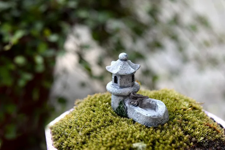 2135672550_394298364