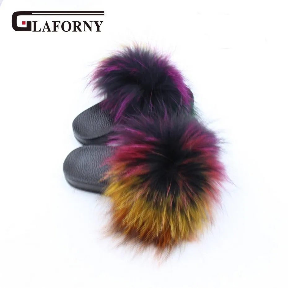 multicolor raccoon