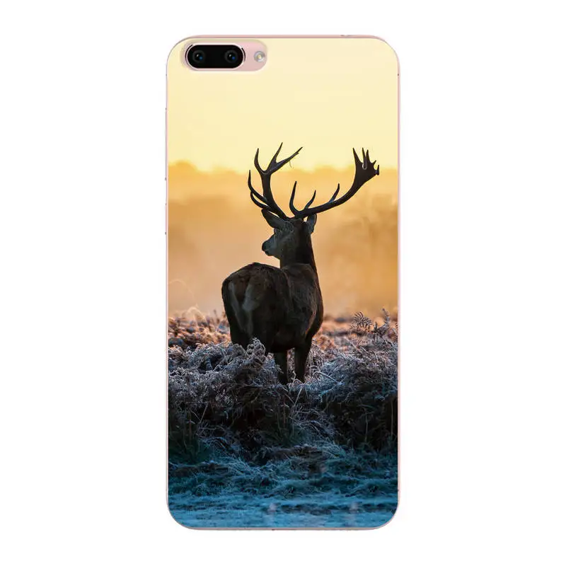 W-6